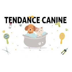 Tendance Canine